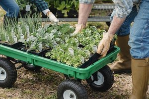 Suskubę iki metų galo, ūkininkai gali gauti valstybės paramą