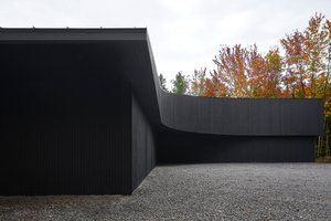  Du žavūs ekscentrikai įsikūrė miške paslėptame 181 kv. metrų ploto name