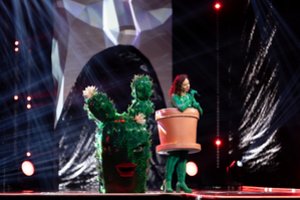 Po Kaktuso kauke slėpėsi buvusi komisijos narė