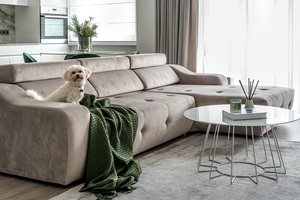 Kai norisi jaukumo: keli paprasti akcentai namams įneš naujų spalvų