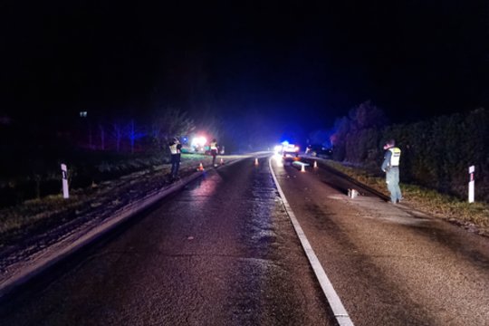 Širvintų rajone automobilis pervažiavo ant kelio gulintį vyrą ir paspruko