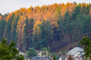 Spalis Europoje buvo šilčiausias per stebėjimų istoriją