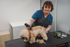 Dėstytojos atlyginimas netenkino, todėl Kaune įkūrė gyvūnų kirpyklą ir parduotuvę: čia atveda net triušius