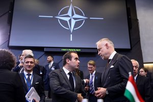 Suomija ir Švedija gali „pasikliauti“ Vengrija dėl NATO, teigia Budapeštas