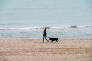 Oras bus niūrus: dangų užklos debesys, smarkiai stiprės vėjas