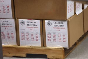 Stebėtojai: JAV kadencijos vidurio rinkimus aptemdė „plačiai paplitusi dezinformacija“