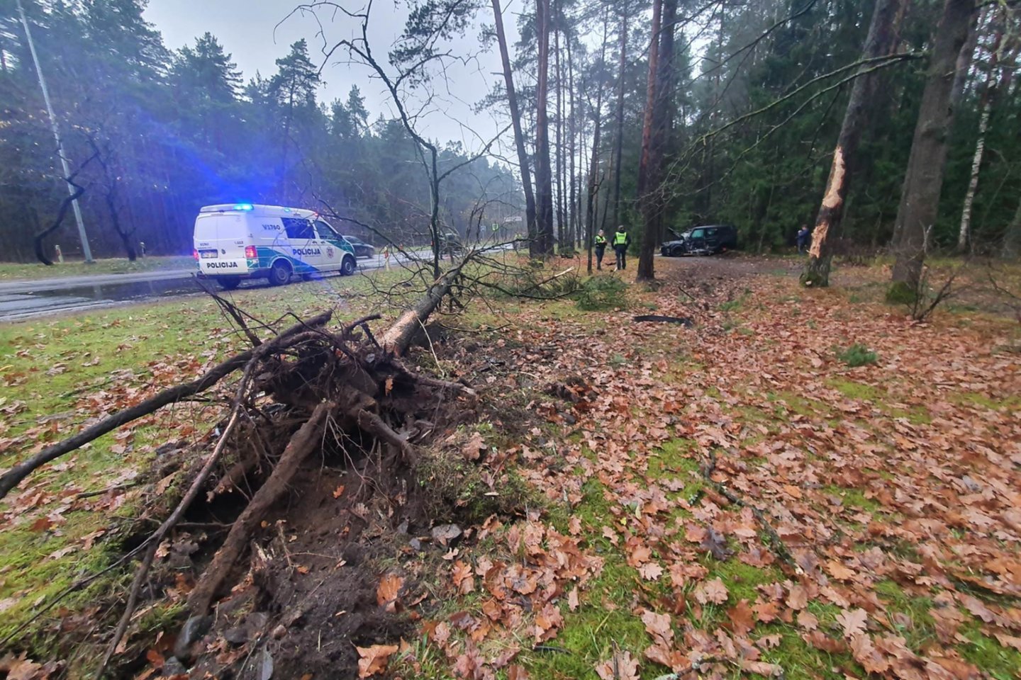 Eismo įvykis Vilniuje: „Mercedes-Benz“ nulėkė nuo kelio ir rėžėsi į medžius.<br> Įvykio liudininko nuotr.