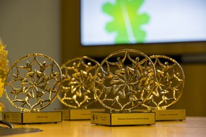 Kilnaus elgesio sporte rinkimai: visuomenė kviečiama siūlyti kandidatus