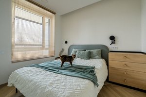 51 kv. metro ploto butą architektė kūrė jaunai porai ir jų katinui