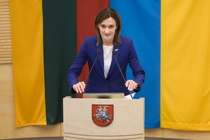 V. Čmilytė-Nielsen: Lietuva yra ledlaužis pramušant paramą Ukrainai