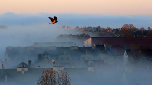 Savaitės pradžia šiluma nedžiugins: vyraus vėsesnis oras