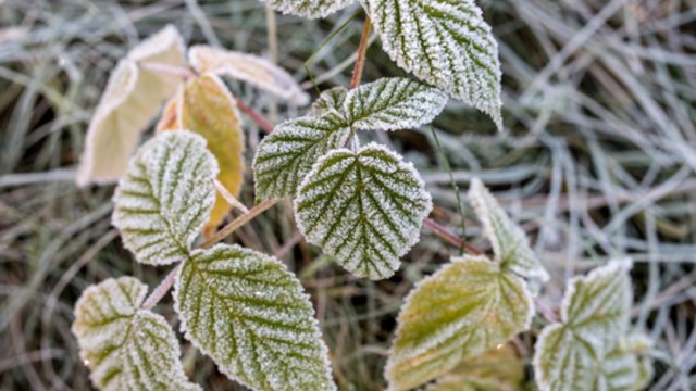 Artimiausiu metu orų permainų nenumatoma: šalį gaubs vėsus atmosferos sluoksnis 