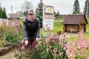 Jau dešimtmetį miestelio Rokiškio rajone gėlynais rūpinasi Janina: visi džiaugiasi, o seniūnija dar ir sutaupo