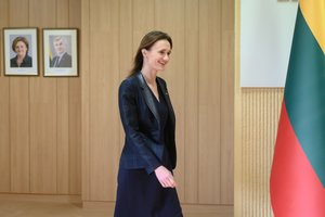 Po susitikimo su V. Čmilytės-Nielsen, parlamento frakcijų seniūnai sutarė laukti VSD atsakymų