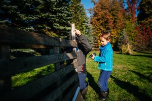 Įgūdžiai ateities vaikui: ar vis dar reikės mokėti įkalti vinį?