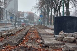 Siūlo atkurti istorinį grindinį Klaipėdoje esančios Danės gatvėje