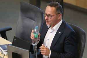 Seimo Užsienio reikalų komitetas išsirinko Ž. Pavilionį pirmininku