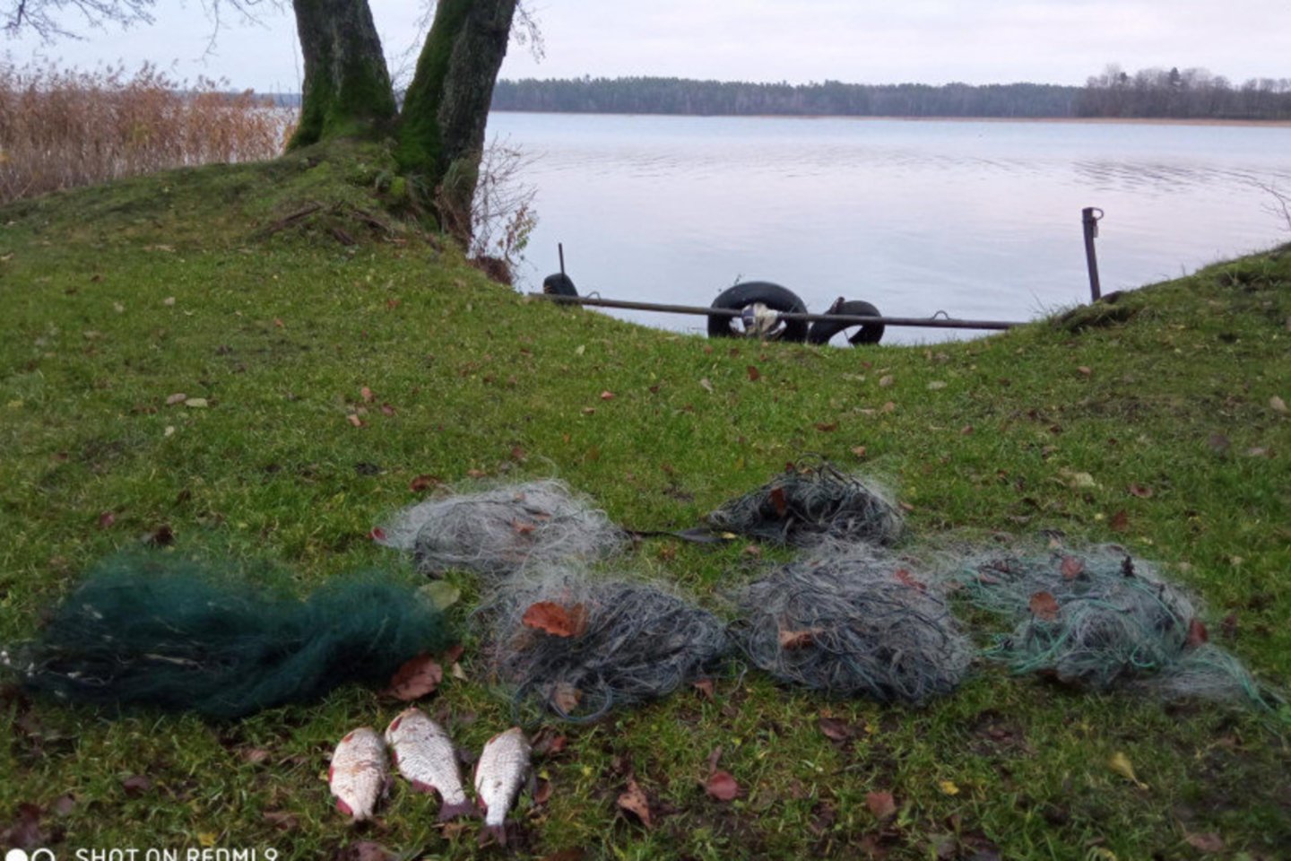 Aplinkos apsaugos departamento pareigūnai nustatė du neteisėtos žvejybos atvejus Utenos ir Zarasų rajonuose. <br>AAD nuotr. 