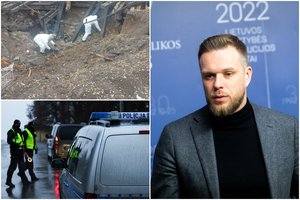 Dėl rusiškos raketos sukeltų sprogimų Lenkijoje – Ukrainos kvietimas Lietuvai, Jungtinei Karalystei ir JAV