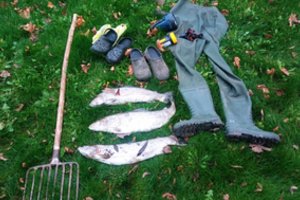 Trys žeberklu nudurti šlakiai pažeidėjams kainuos beveik 3 tūkst. eurų