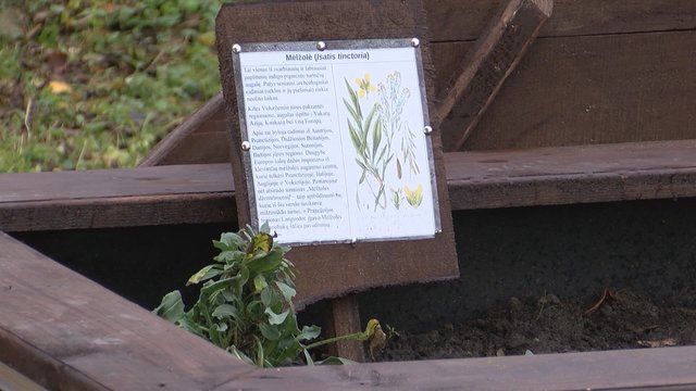 Pamaryje įkurtas dėmesį prikaustantis sodas: lankytojai turi galimybę susipažinti su itin retais augalais 
