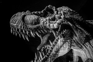 Apskaičiavo, kokio iš tiesų dydžio galėjo būti tiranozaurai: skaičiai pribloškia