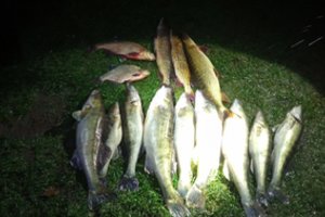 Pažeidėjai nepasimoko: aplinkosaugininkams vėl įkliuvę tinklininkai susimokės nemenką baudą