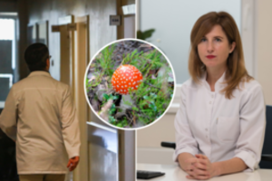 Verslumui nėra ribų: lietuviai siūlo pirkti nuodingų grybų, medikai įspėja apie grėsmę