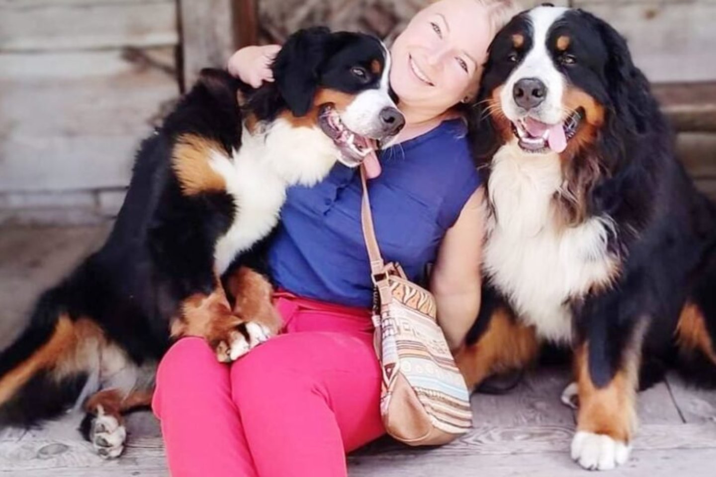  Viltė Liaugminaitė – Berno zenenhundų veisėja, įvairių šunų trenerė yra tiesiog laiminga savo veikloje.<br> Asmeninio archyvo nuotr.