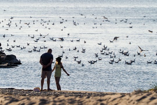 Vilnietė sukrėsta: valdininkai 8-metę dukrą išvežė pas jos tvirkinimu įtariamą tėvą
