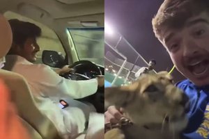 Alaus ieškoję anglų futbolo sirgaliai susitiko su šeicho sūnaus liūtu