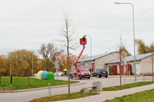 Naktį tamsu, o vidurdienį apšvietimas įjungtas: gyventojai piktinasi vėjais taškomais pinigais