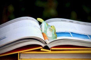 Skelbiamas Kultūros paso paraiškų priėmimas