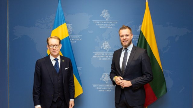 Švedija dėkoja Lietuvai už paramą dėl narystės NATO: tikimasi, kad viršūnių susitikime dalyvaus jau 32 narės
