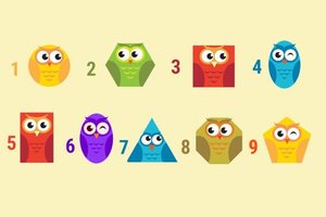 Kuris pelėdžiukas patraukliausias? Tai tiksliai apibūdina jūsų charakterį