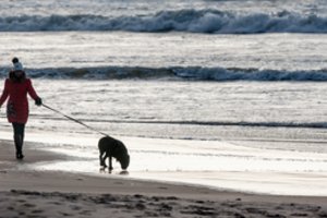 Smarkios audros ženkliai pakeitė pajūrį: Palangos paplūdimys dar labiau susiaurėjo