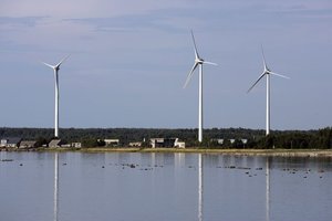 Viceministrė: vertinsime galimybę skirti paramą nutolusių vėjo jėgainių nuomai
