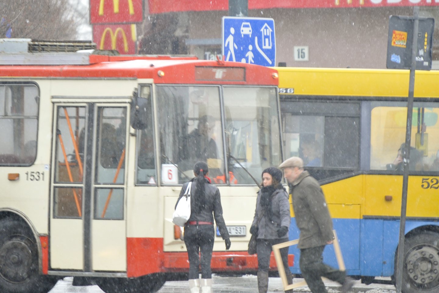 Jau šį šeštadienį (lapkričio 26 d.) Katedros aikštėje Vilnius įžiebs pagrindinę sostinės ir visos Lietuvos Kalėdų eglę.<br>V.Ščiavinsko nuotr.