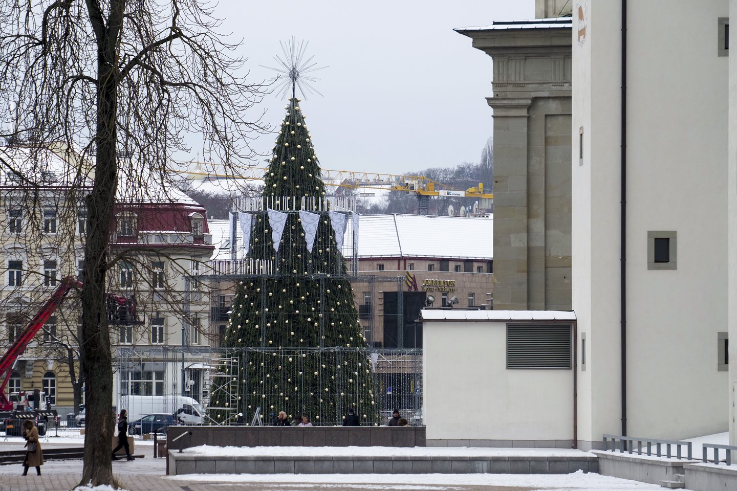 Jau šį šeštadienį (lapkričio 26 d.) Katedros aikštėje Vilnius įžiebs pagrindinę sostinės ir visos Lietuvos Kalėdų eglę.<br>V.Ščiavinsko nuotr.