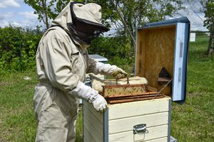 Ką naujasis finansinis periodas žada bitininkams?