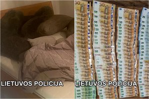 Klaipėdoje suduotas smūgis prostitucijos tinklui: tarp organizatorių – ir moterys