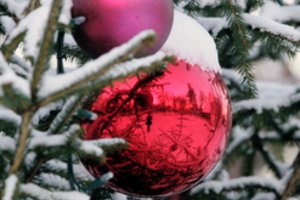 Ruošiamės puošti namus: kaip šiemet galėtų atrodyti jūsų stilingos Kalėdos