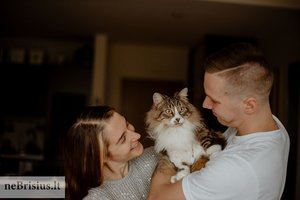 Paskutinis iš šeimos prieglaudoje likęs bailusis Cepelinas mylinčiose rankose virto įspūdingu gražuoliu