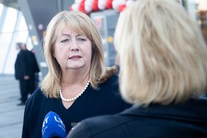 V. Blinkevičiūtė tikina, kad interpeliacija G. Landsbergiui nebuvo inicijuota be reikalo: gal išgirs