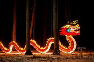 Pakruojo dvare – šviesos festivalis: didieji Azijos žibintai įsižiebs jau šį savaitgalį