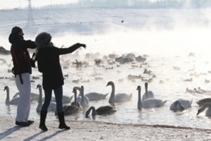 Klimatologas apie ateinančios savaitės orus: nusiteikite permainoms