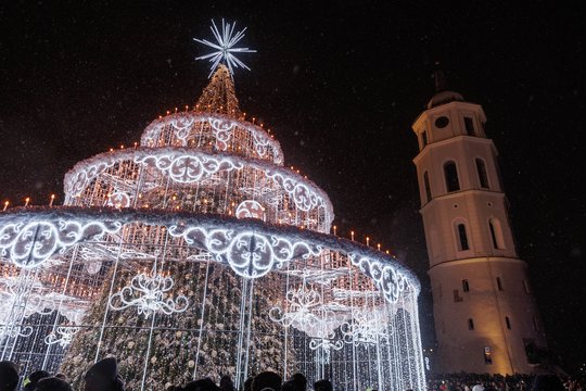 Vilniuje įžiebta Kalėdų eglė.<br>T.Bauro nuotr.