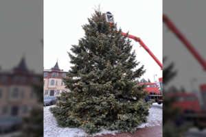 Rokiškis ruošiasi Kalėdoms – mieste bus įžiebta daugiau kaip 40 metų žaliavusi eglė