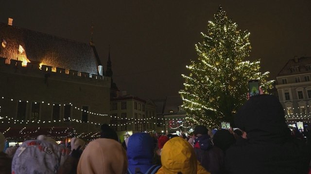 Taline suspindo pagrindinė šalies eglė: estai tikina – jų Kalėdų tradicijos yra seniausios Europoje