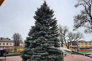 Kretinga ruošiasi Kalėdų eglės įžiebimui: po kelerių metų pertraukos – ne tik natūrali, bet ir dovanota